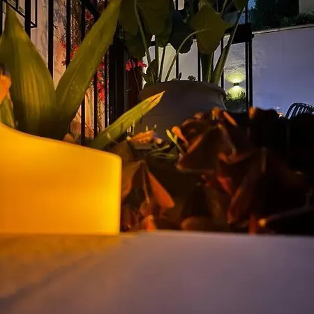 Mirame - Heart Of Apartment *